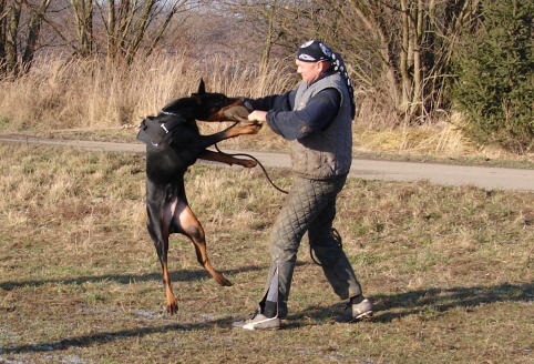 The christmas training 27.12.2006